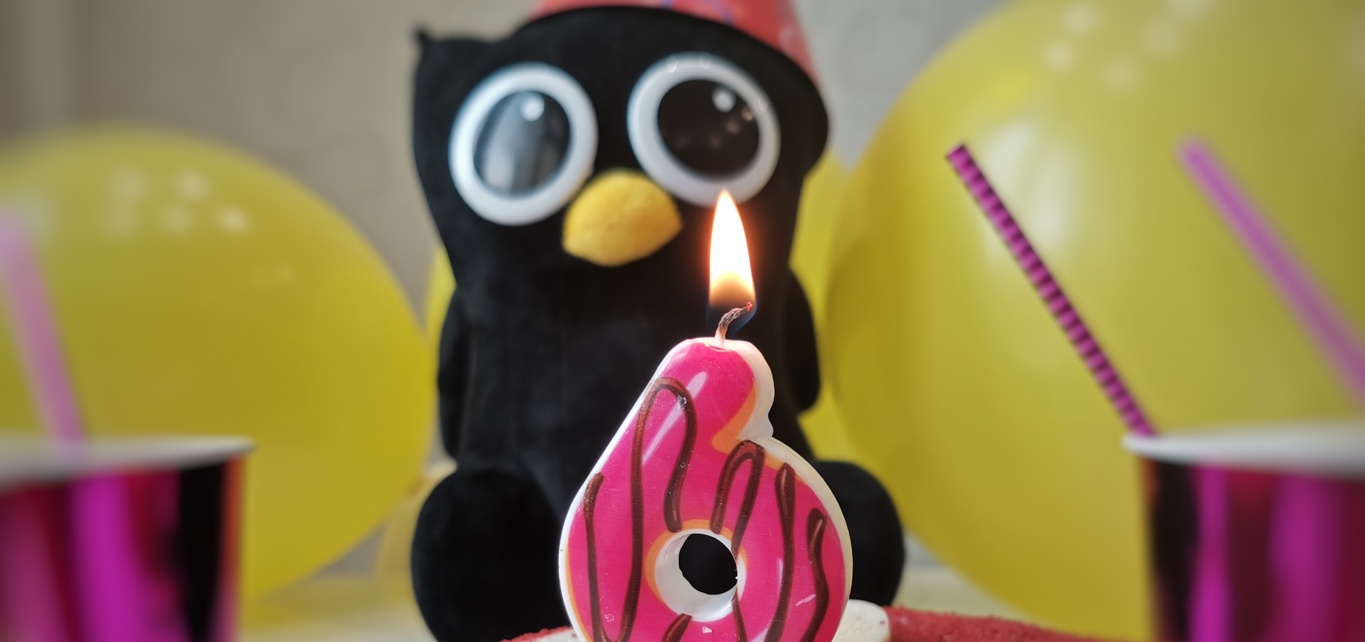 Owlcat Games We Create CRPGs